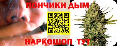 прущие грибы Дмитров