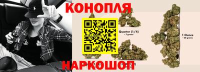 прущие грибы Дмитров