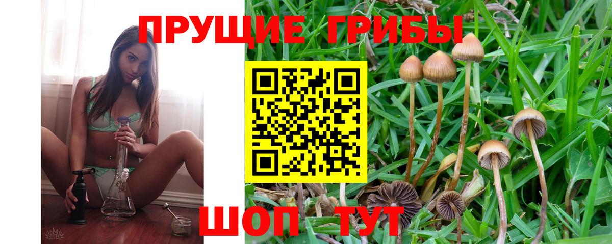 Псилоцибиновые грибы Psilocybine cubensis  Вход с VPN  Нефтекумск 